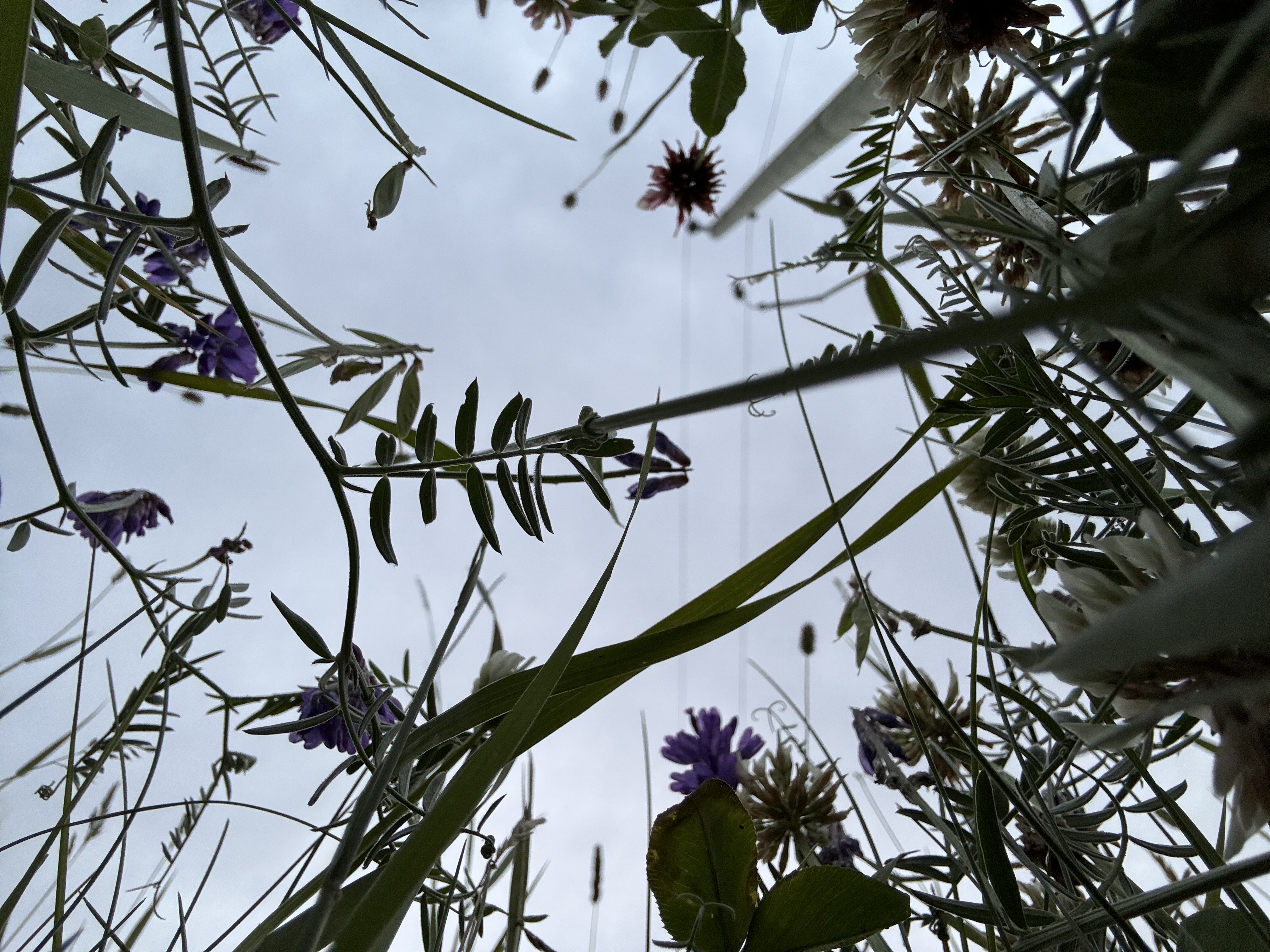 the Casual Backpacker