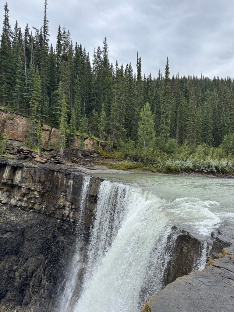 Crescent Falls pours over the edge of a rock canyon, with a forest of pine trees in the background