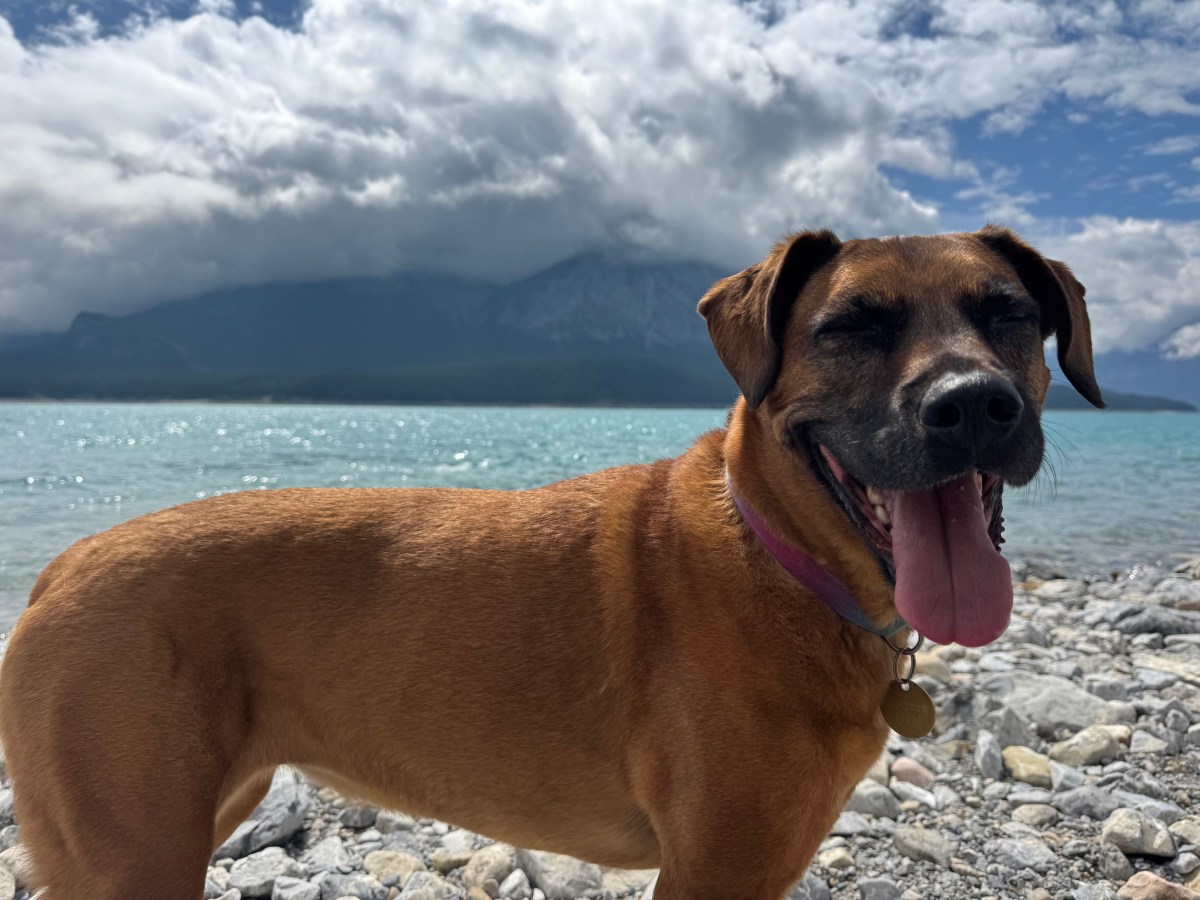 Nordegg – an Alberta&nbsp;gem